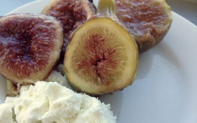 Fresh Figs and Goat Cheese: A Decadent, Healthy Dessert